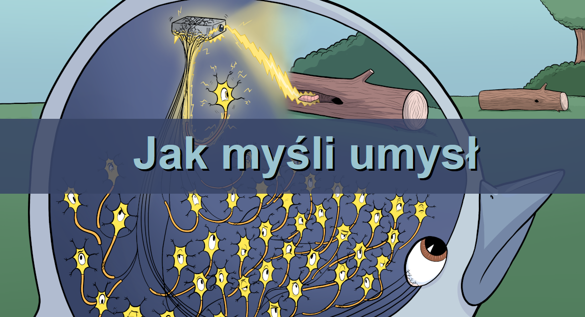 Jak myśli umysł